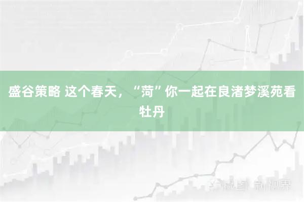 盛谷策略 这个春天，“菏”你一起在良渚梦溪苑看牡丹